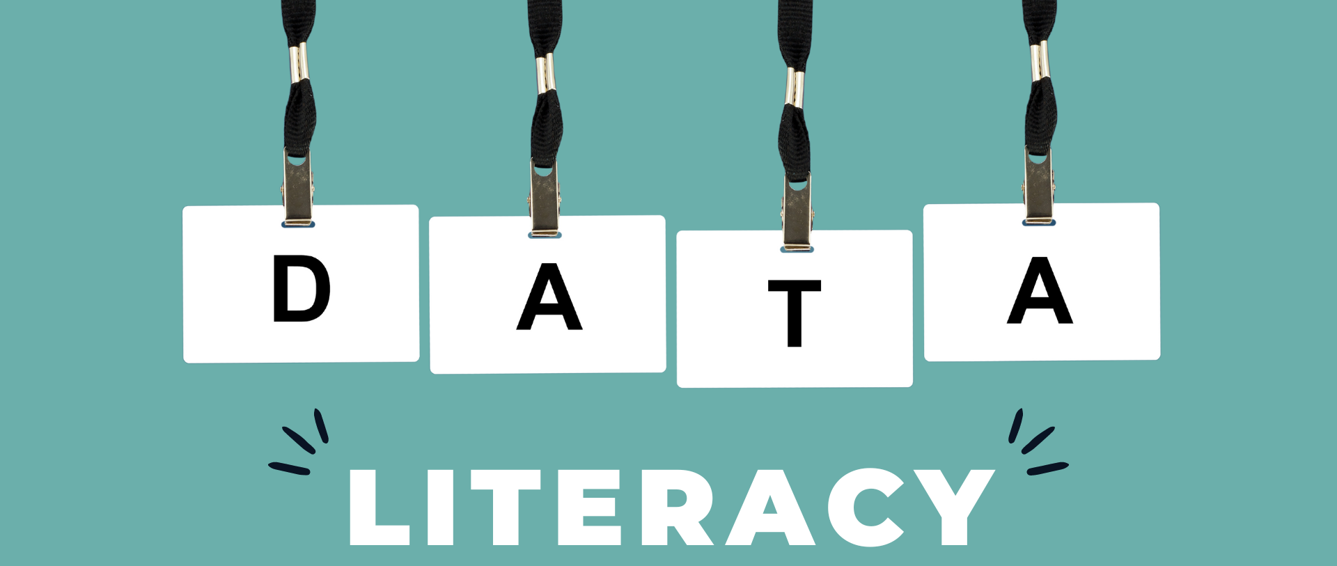 Data Literacy